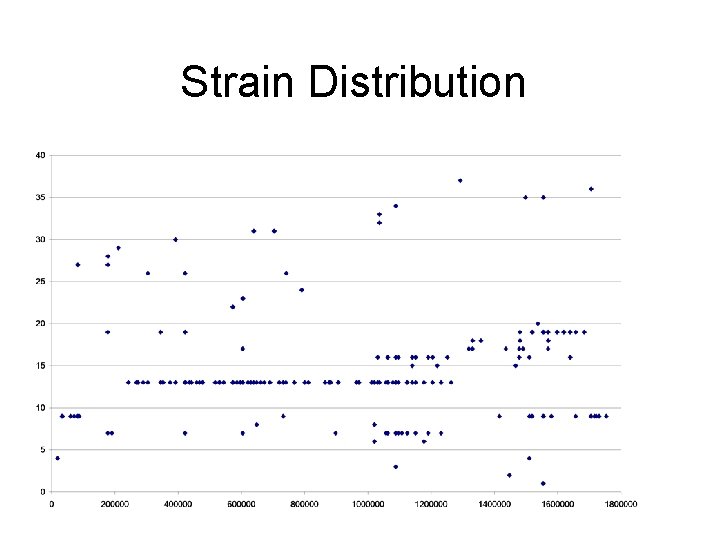 Strain Distribution 