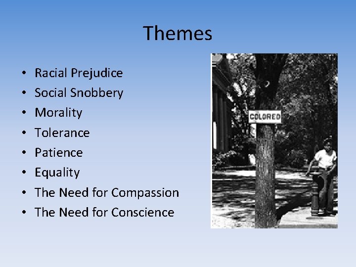 Themes • • Racial Prejudice Social Snobbery Morality Tolerance Patience Equality The Need for