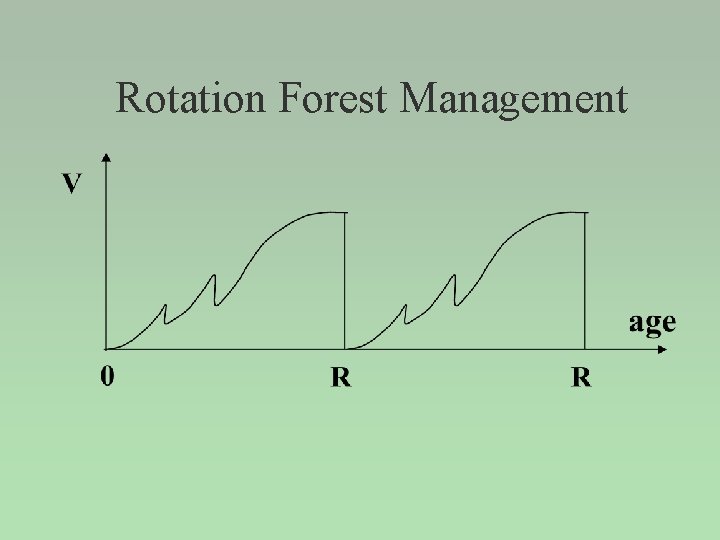 Rotation Forest Management 