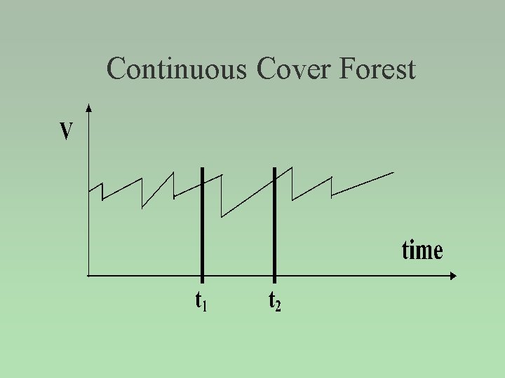 Continuous Cover Forest 