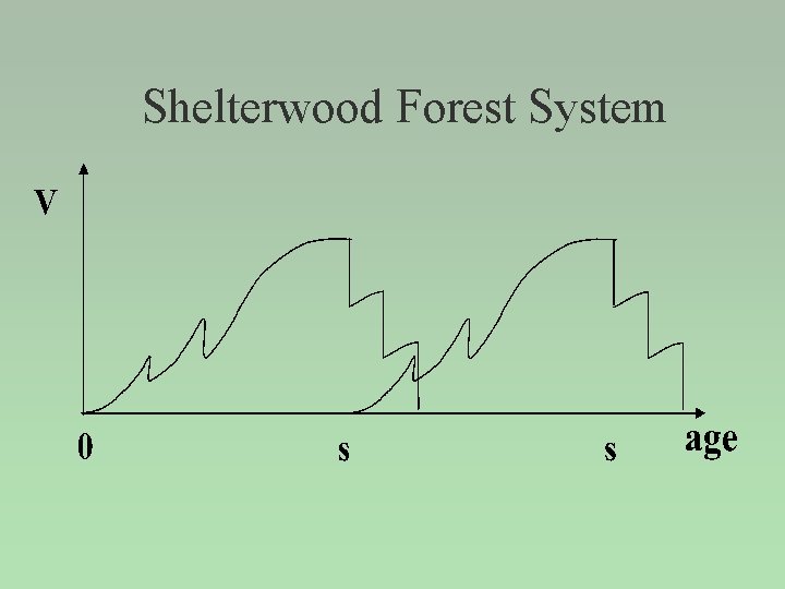 Shelterwood Forest System 