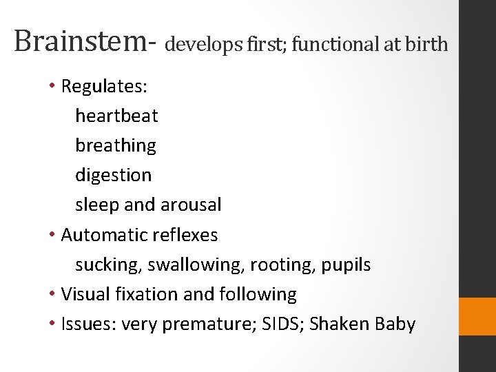 Brainstem- develops first; functional at birth • Regulates: heartbeat breathing digestion sleep and arousal