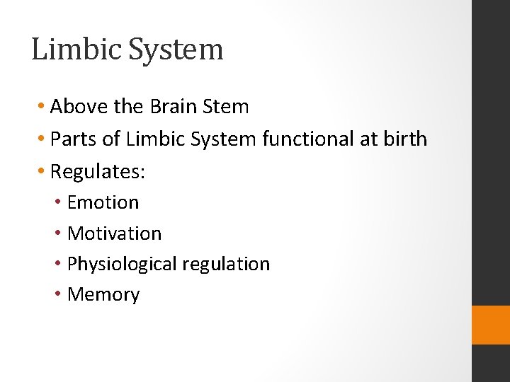 Limbic System • Above the Brain Stem • Parts of Limbic System functional at