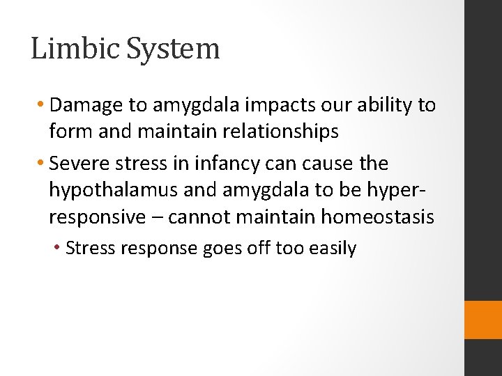 Limbic System • Damage to amygdala impacts our ability to form and maintain relationships