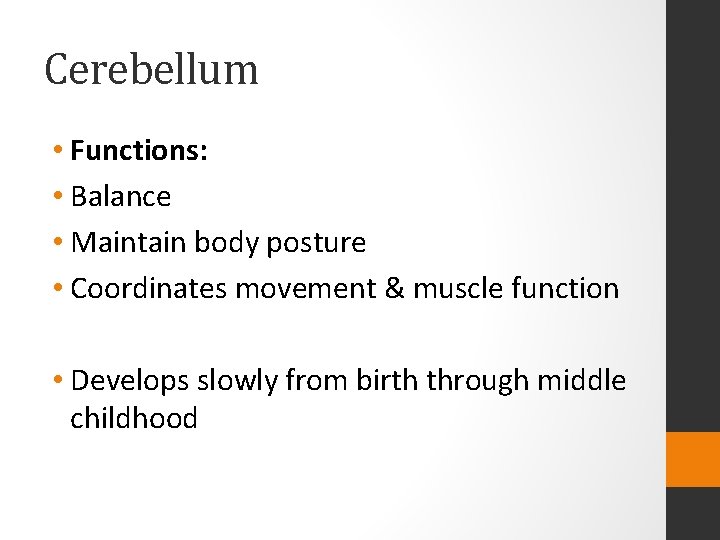 Cerebellum • Functions: • Balance • Maintain body posture • Coordinates movement & muscle