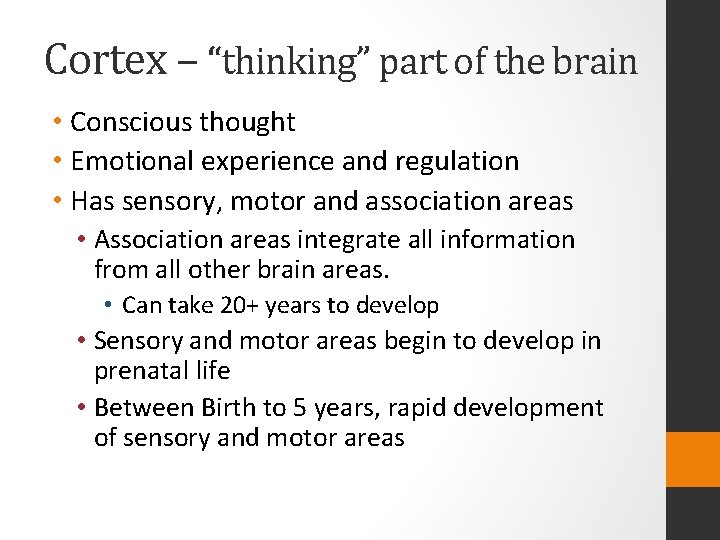 Cortex – “thinking” part of the brain • Conscious thought • Emotional experience and