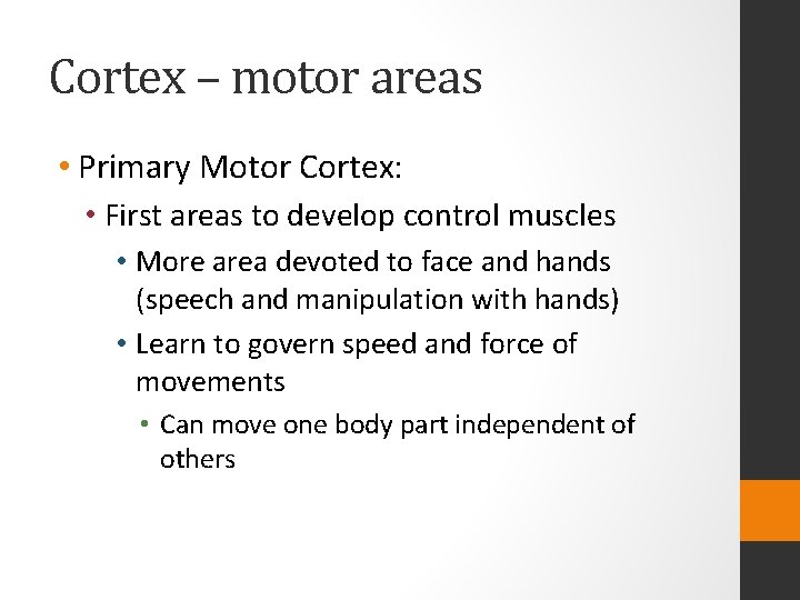 Cortex – motor areas • Primary Motor Cortex: • First areas to develop control