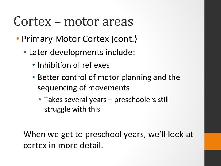 Cortex – motor areas • Primary Motor Cortex (cont. ) • Later developments include: