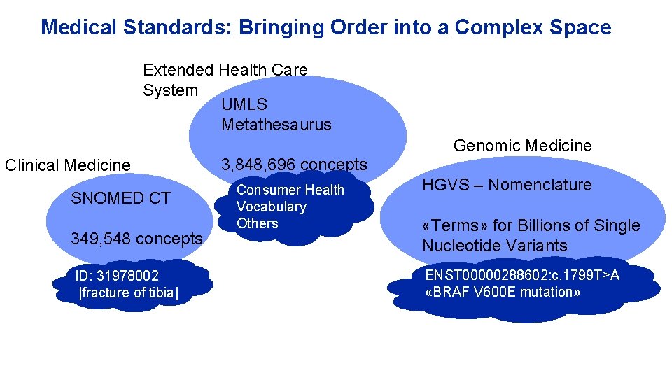 Medical Standards: Bringing Order into a Complex Space Extended Health Care System UMLS Metathesaurus