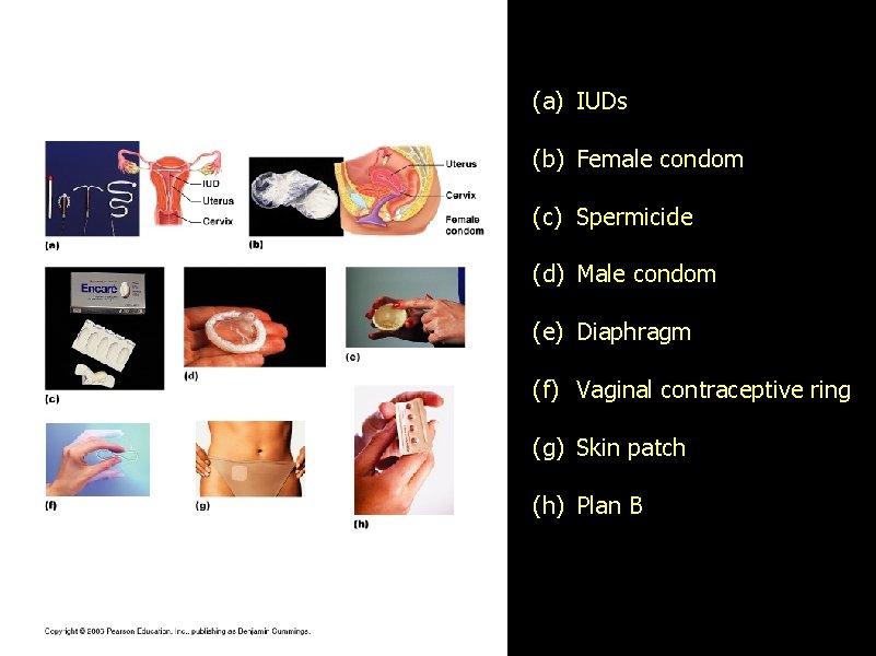 (a) IUDs (b) Female condom (c) Spermicide (d) Male condom (e) Diaphragm (f) Vaginal