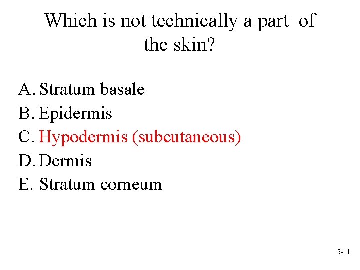 Which is not technically a part of the skin? A. Stratum basale B. Epidermis