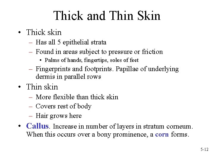 Thick and Thin Skin • Thick skin – Has all 5 epithelial strata –