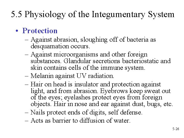 5. 5 Physiology of the Integumentary System • Protection – Against abrasion, sloughing off