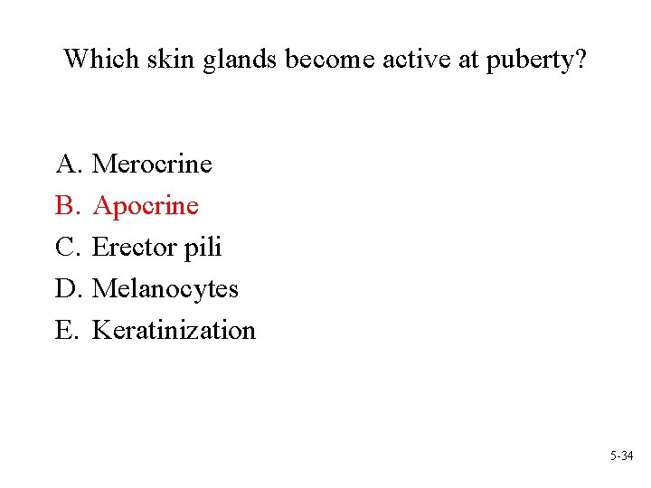 Which skin glands become active at puberty? A. Merocrine B. Apocrine C. Erector pili
