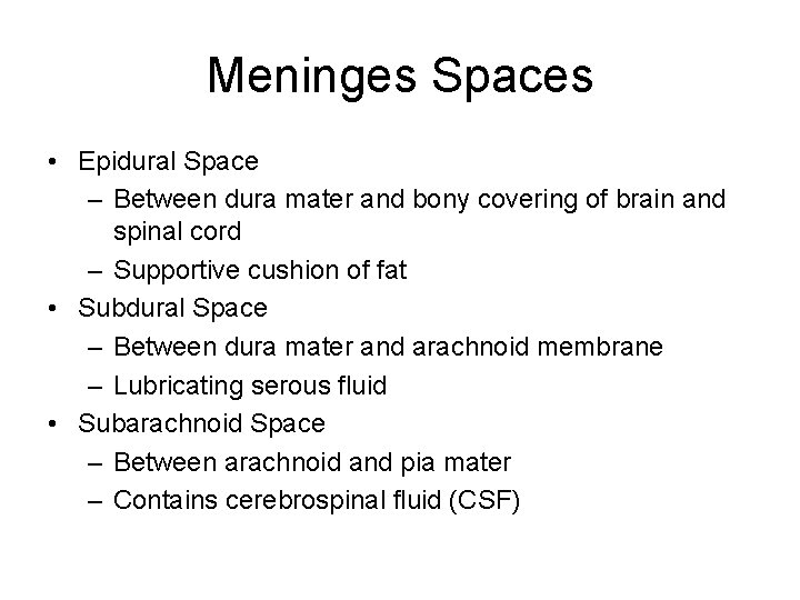 Meninges Spaces • Epidural Space – Between dura mater and bony covering of brain Meninges Spaces • Epidural Space – Between dura mater and bony covering of brain