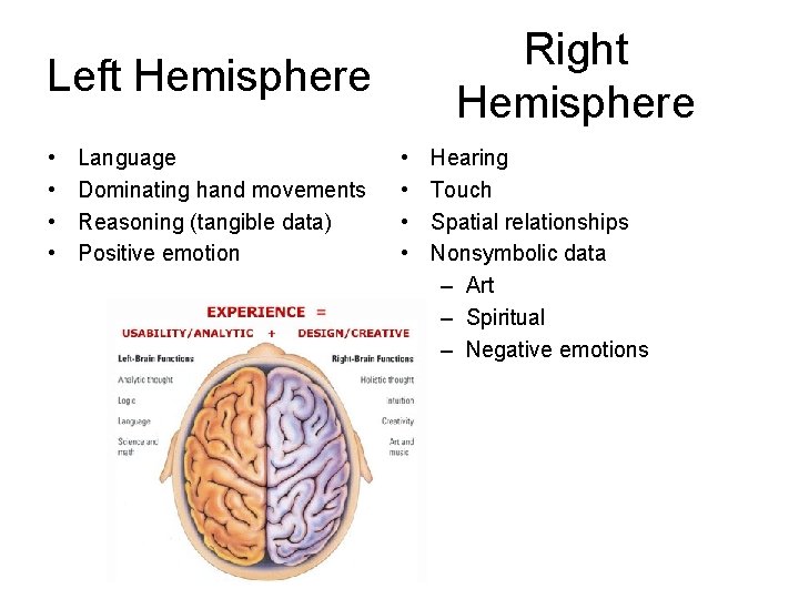Right Hemisphere Left Hemisphere • • Language Dominating hand movements Reasoning (tangible data) Positive Right Hemisphere Left Hemisphere • • Language Dominating hand movements Reasoning (tangible data) Positive