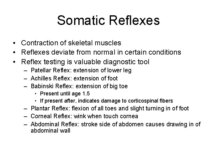 Somatic Reflexes • Contraction of skeletal muscles • Reflexes deviate from normal in certain Somatic Reflexes • Contraction of skeletal muscles • Reflexes deviate from normal in certain
