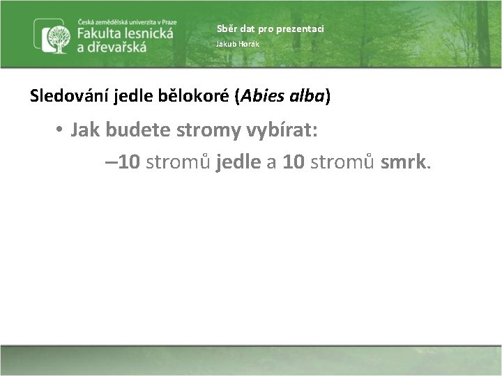 Sběr dat pro prezentaci Jakub Horák Sledování jedle bělokoré (Abies alba) • Jak budete