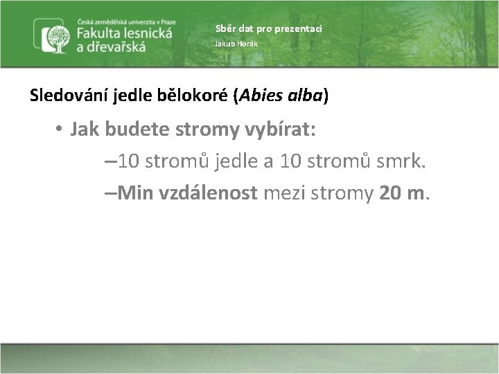 Sběr dat pro prezentaci Jakub Horák Sledování jedle bělokoré (Abies alba) • Jak budete