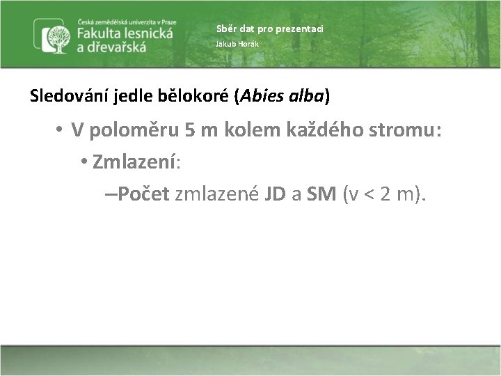 Sběr dat pro prezentaci Jakub Horák Sledování jedle bělokoré (Abies alba) • V poloměru