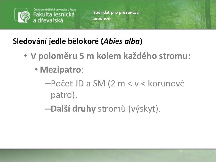 Sběr dat pro prezentaci Jakub Horák Sledování jedle bělokoré (Abies alba) • V poloměru