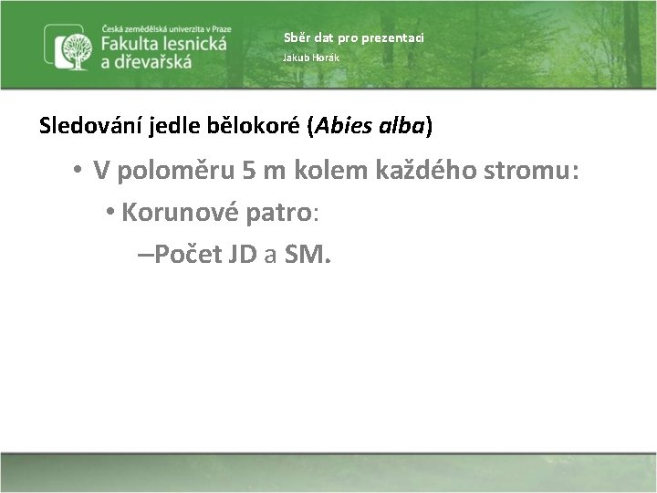 Sběr dat pro prezentaci Jakub Horák Sledování jedle bělokoré (Abies alba) • V poloměru