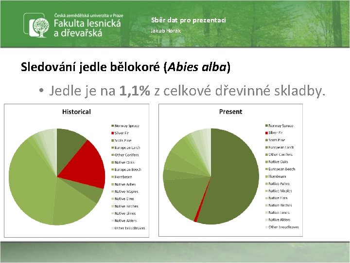 Sběr dat pro prezentaci Jakub Horák Sledování jedle bělokoré (Abies alba) • Jedle je