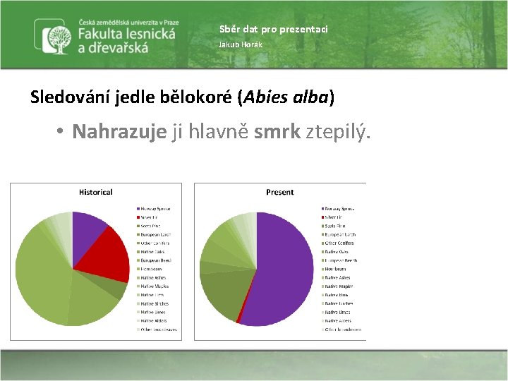 Sběr dat pro prezentaci Jakub Horák Sledování jedle bělokoré (Abies alba) • Nahrazuje ji