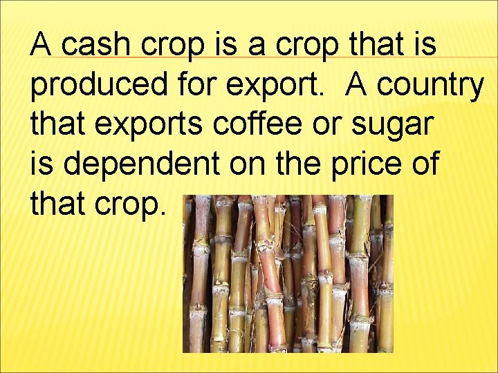 A cash crop is a crop that is produced for export. A country that