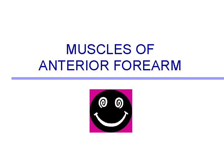 MUSCLES OF ANTERIOR FOREARM 