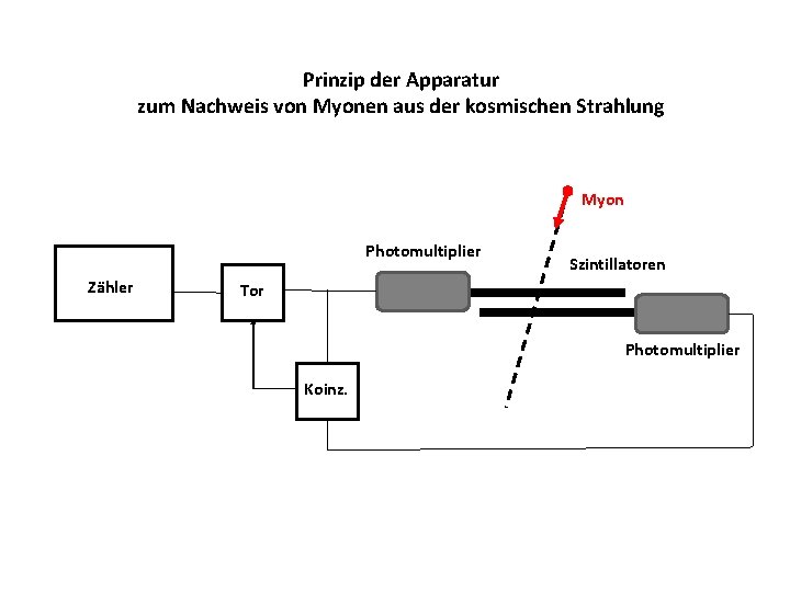 Prinzip der Apparatur zum Nachweis von Myonen aus der kosmischen Strahlung Myon Photomultiplier Zähler