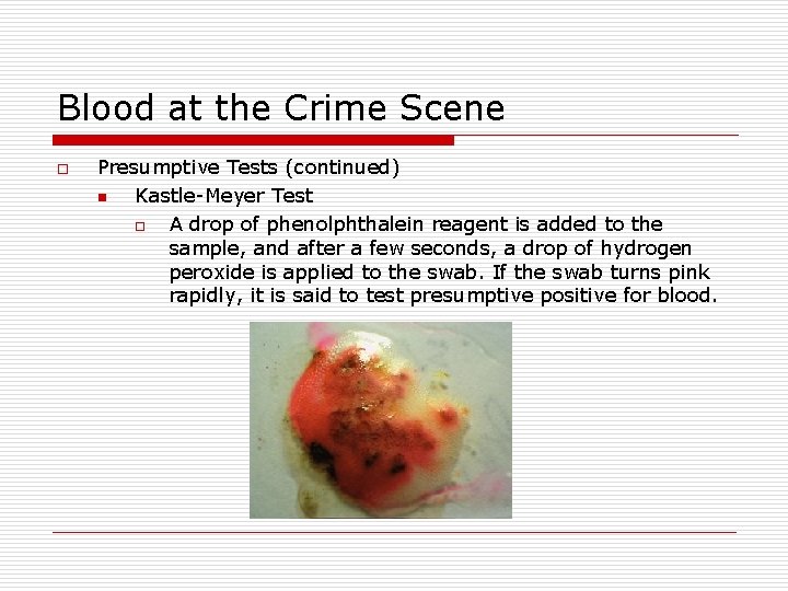 Blood at the Crime Scene o Presumptive Tests (continued) n Kastle-Meyer Test o A