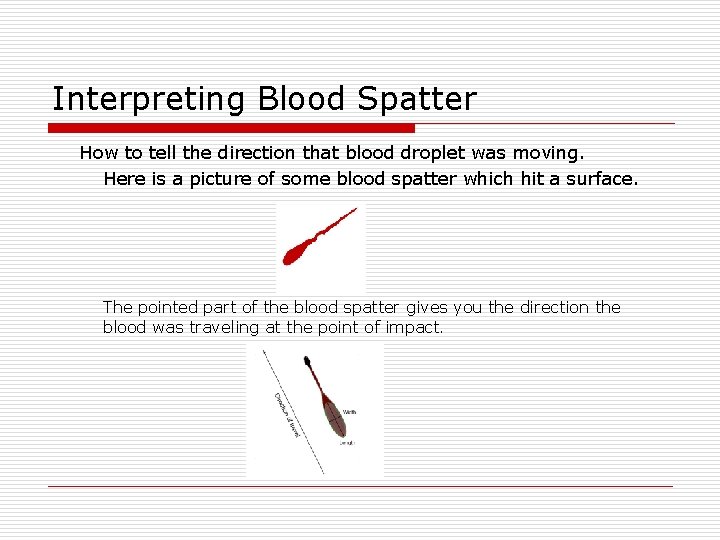 Interpreting Blood Spatter How to tell the direction that blood droplet was moving. Here