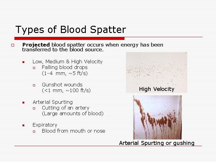 Types of Blood Spatter o Projected blood spatter occurs when energy has been transferred