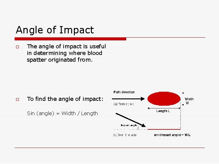 Angle of Impact o o The angle of impact is useful in determining where