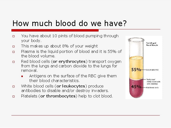 How much blood do we have? o o o You have about 10 pints