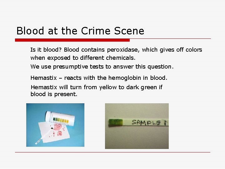 Blood at the Crime Scene Is it blood? Blood contains peroxidase, which gives off