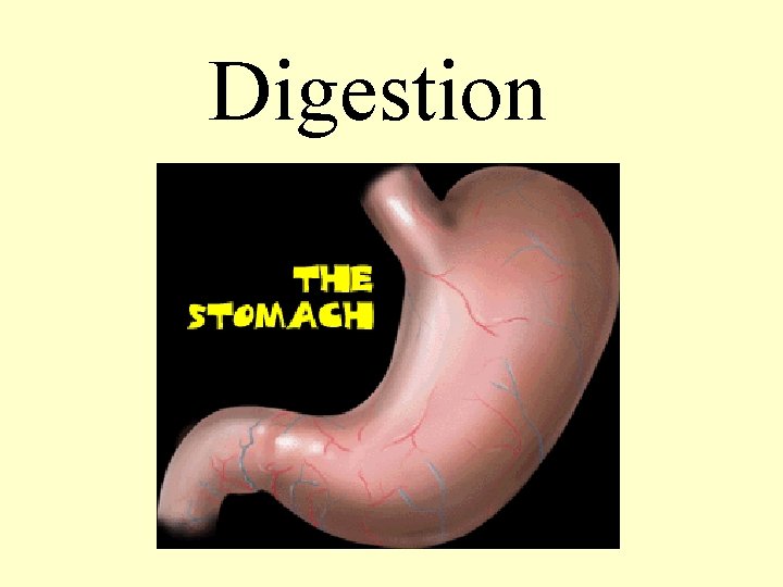 Digestion 