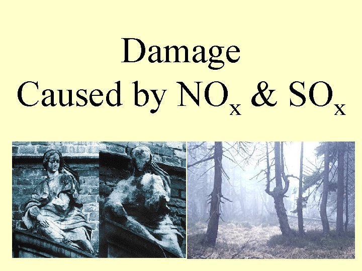 Damage Caused by NOx & SOx 