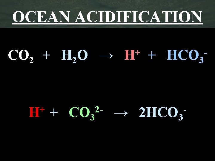 OCEAN ACIDIFICATION CO 2 + H 2 O → + HCO 3 H+ +