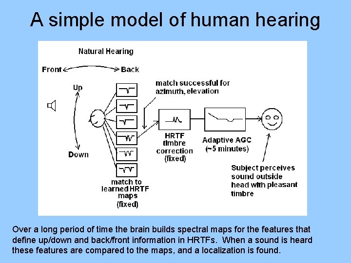 A simple model of human hearing Over a long period of time the brain