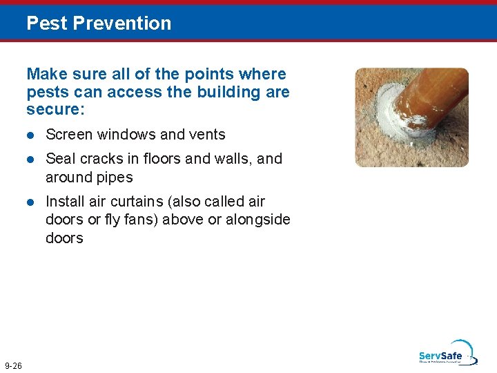 Pest Prevention Make sure all of the points where pests can access the building