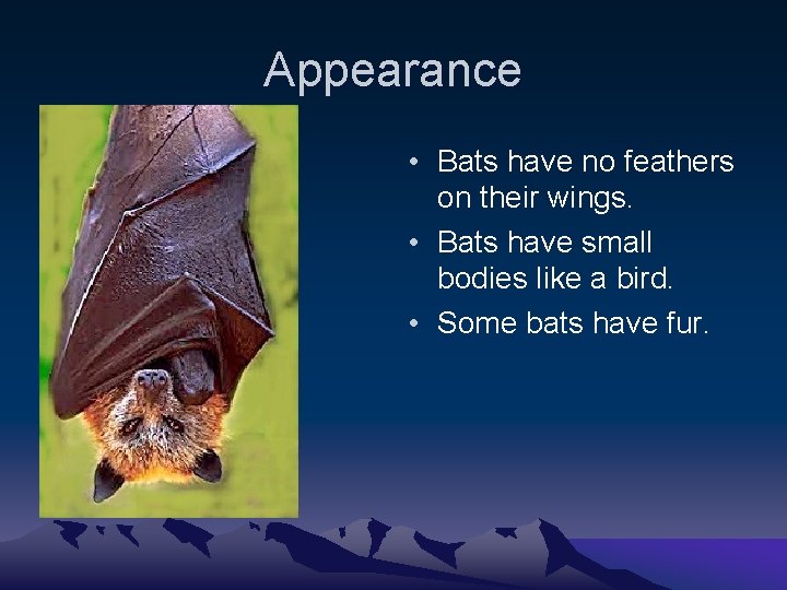 Appearance • Bats have no feathers on their wings. • Bats have small bodies