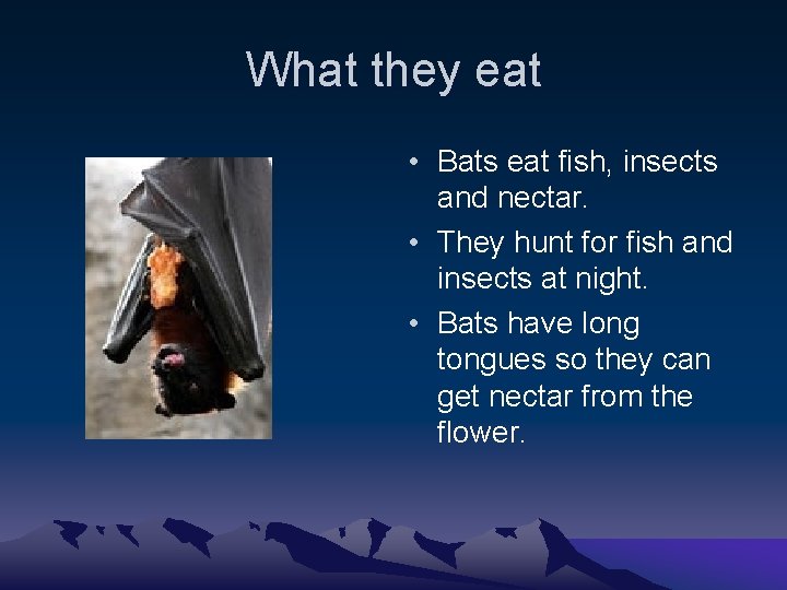 What they eat • Bats eat fish, insects and nectar. • They hunt for