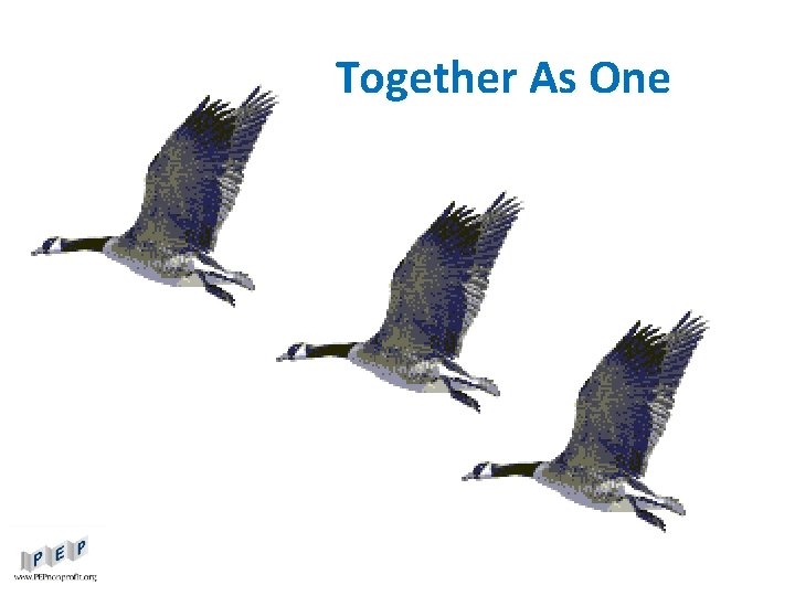 Together As One 