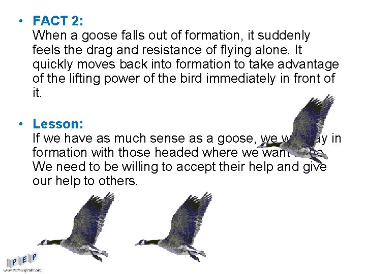  • FACT 2: When a goose falls out of formation, it suddenly feels
