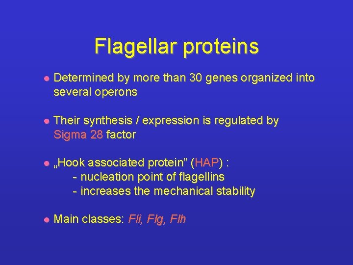 Flagellar proteins l Determined by more than 30 genes organized into several operons l