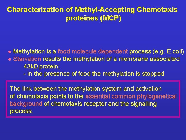 Characterization of Methyl-Accepting Chemotaxis proteines (MCP) Methylation is a food molecule dependent process (e.