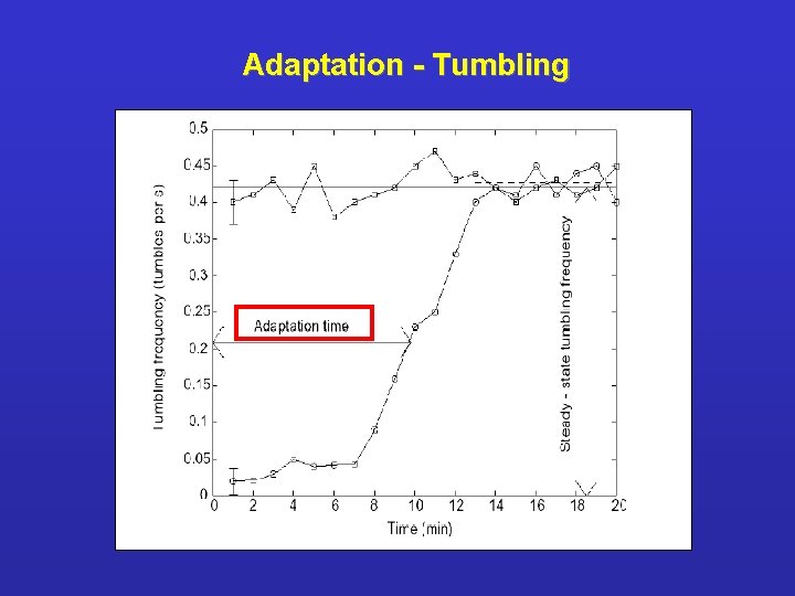 Adaptation - Tumbling 