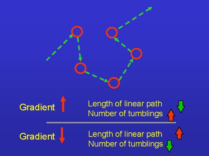 Gradient Length of linear path Number of tumblings 